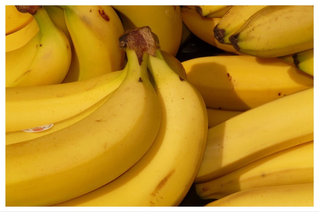 The Best Way to Keep Bananas Fresh: Simple Storage Hack to Prevent Spoilage