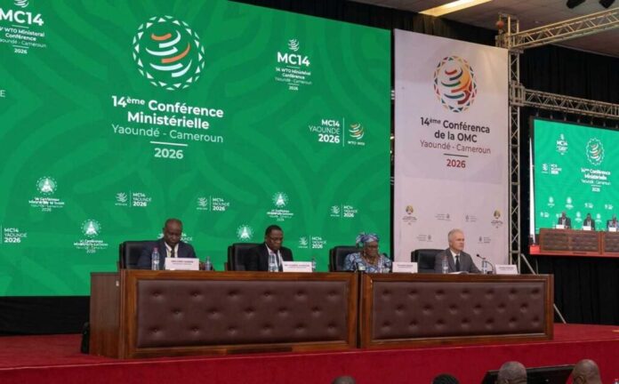 US-Resists-WTO-Reform-Plan-in-Cameroon_-Global-Trade-Faces-Collapse-Risk